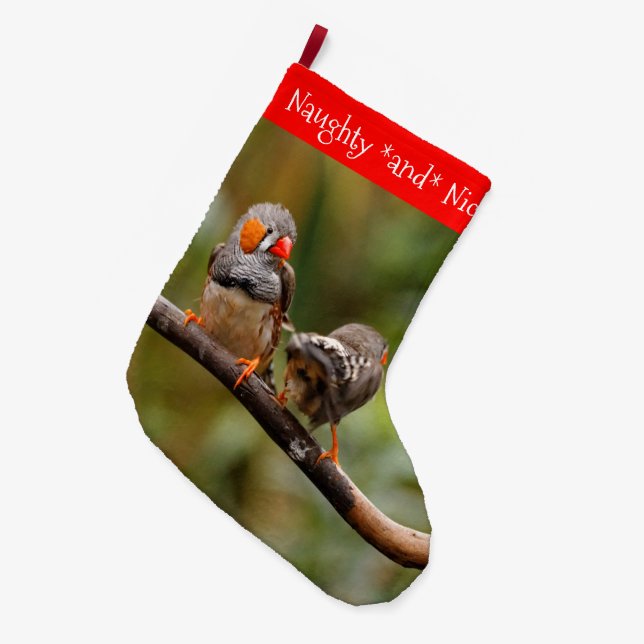 Meia De Natal Grande Um Par Cheiroso de Zebra Finches Canaviais (Frente (Pendurada))