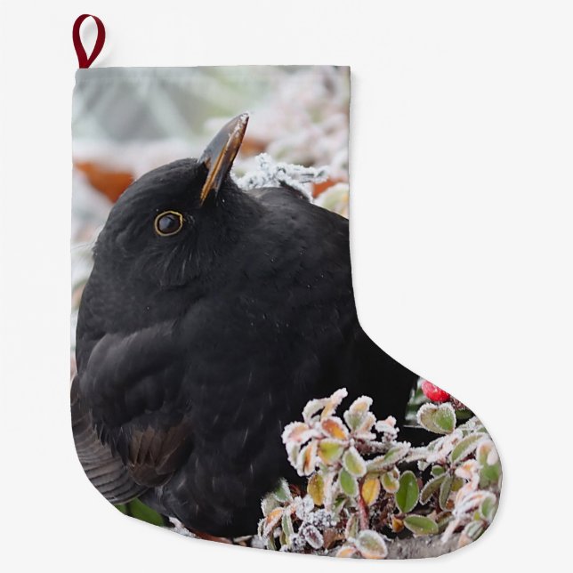 Meia De Natal Grande Winter Blackbird (Frente)