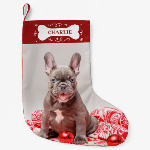 Meia De Natal Pequena Adorável Cachorro de Estimação com Foto Personaliz