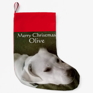 Meia De Natal Pequena Adorável Mistura de Cães Brancos