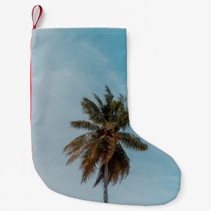 Meia De Natal Pequena Árvore verde de coco sob céu azul