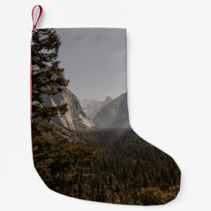 MEIA DE NATAL PEQUENA ÁRVORES VERDES PERTO DA MONTANHA DURANTE O DIA