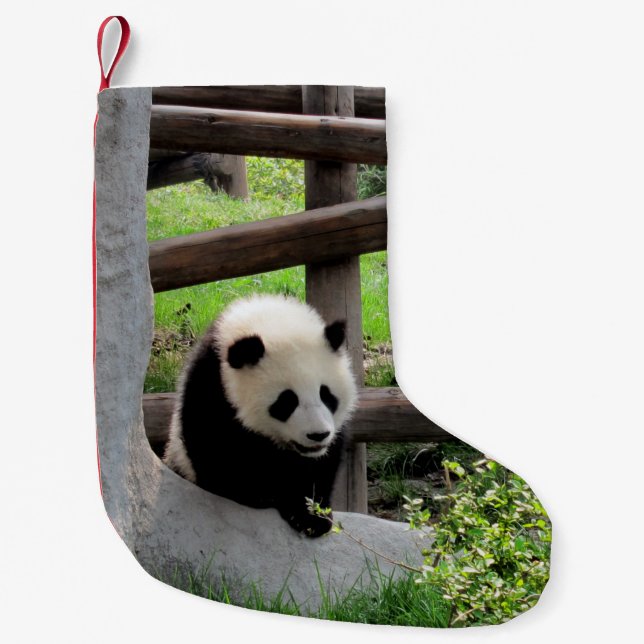 Meia De Natal Pequena Baby Panda (Frente)