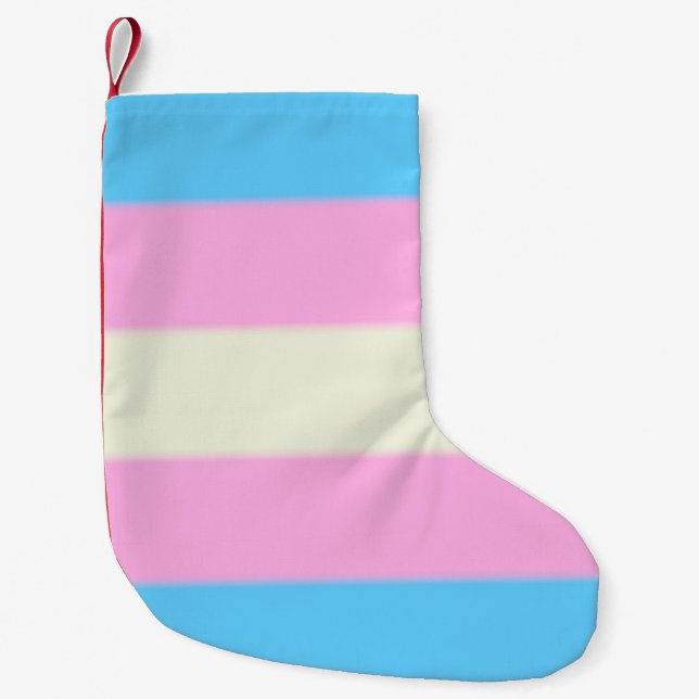 Meia De Natal Pequena Bandeira do orgulho do Transgender de Falln (Frente)