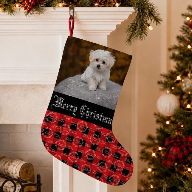 Meia De Natal Pequena Bela Foto de Animal de Estimação Natal (Criador carregado)
