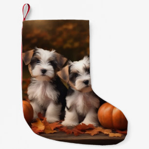 Meia De Natal Pequena Biewer Terrier Puppy Autumn Delight Pumpkin