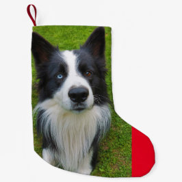 Meia De Natal Pequena Border Collie