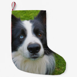 Meia De Natal Pequena Border Collie Small Christmas Stocks