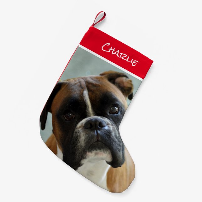 Meia De Natal Pequena Boxer Christmas Stocks (Frente (Pendurada))