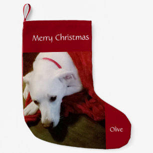 Meia De Natal Pequena Cachorro Branco Bonito Neve