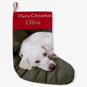 Meia De Natal Pequena Cachorro de Mistura de Laboratórios Brancos