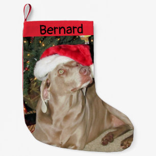 Meia De Natal Pequena Cachorro de Weimaraner Cachorro - Personalizado