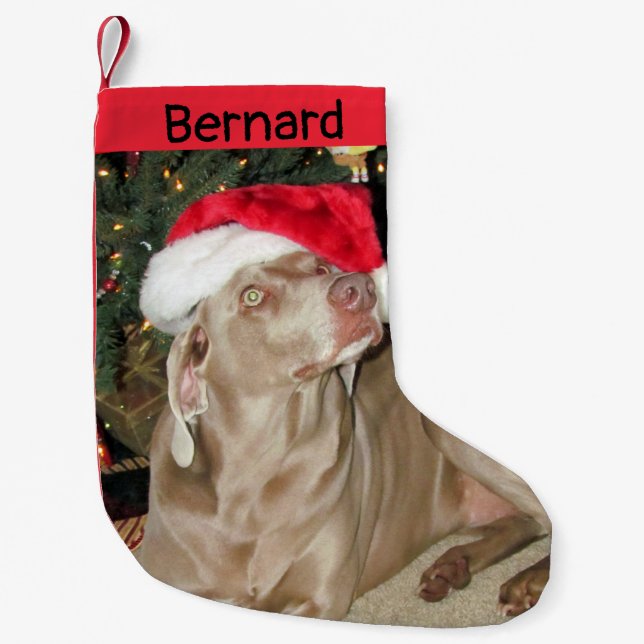 Meia De Natal Pequena Cachorro de Weimaraner Cachorro - Personalizado (Frente)