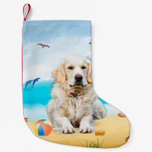 Meia De Natal Pequena Cachorro Retriever Dourado na Praia