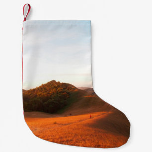 Meia De Natal Pequena Campo majestoso à luz do sol. Dramático e pictu