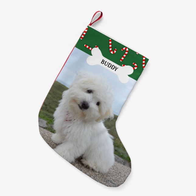 Meia De Natal Pequena Candy Canes Dog Bone Pet Photo (Frente (Pendurada))