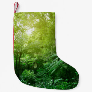 Meia De Natal Pequena Canopia da árvore solar na selva tropical