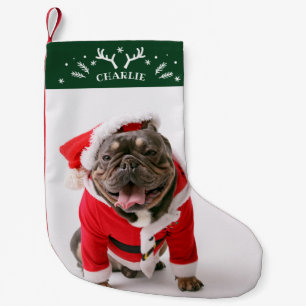 Meia De Natal Pequena Cão-De-Pé-Foto Personalizado Com Bons-Alvos E Floc
