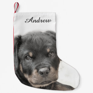 Meia De Natal Pequena Cão de Rottweiler