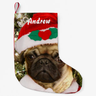 Meia De Natal Pequena Cão do pug do Natal