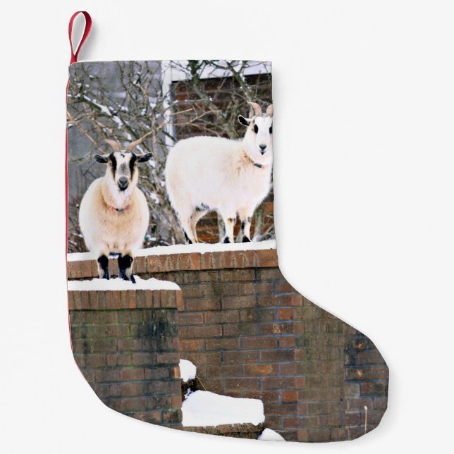 Meia De Natal Pequena Capas de Natal (Frente)