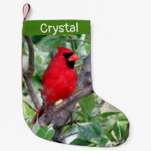 Cardeal em uma árvore de limão - Personalizado