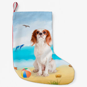 Meia De Natal Pequena Cavalier King Dog em Beach