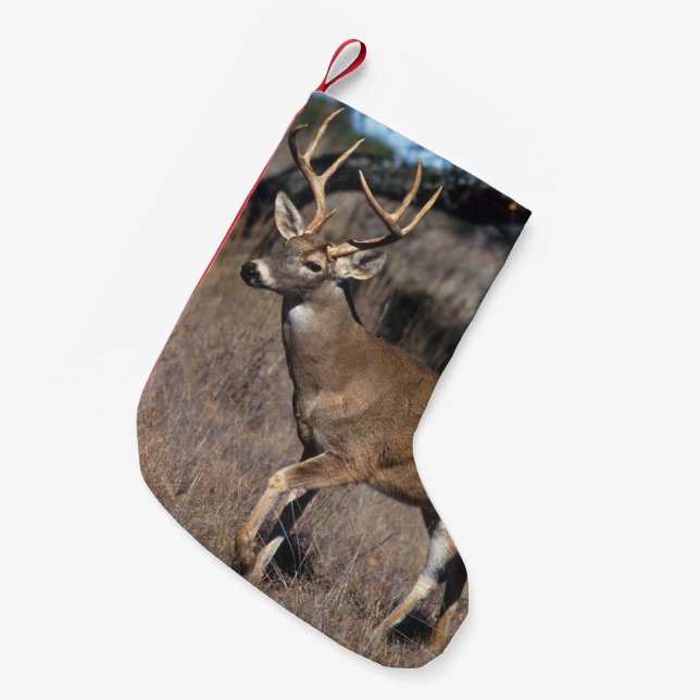 Meia De Natal Pequena Cervos da cauda branca (Frente (Pendurada))
