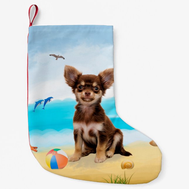Meia De Natal Pequena Chihuahua Dog na praia (Frente)