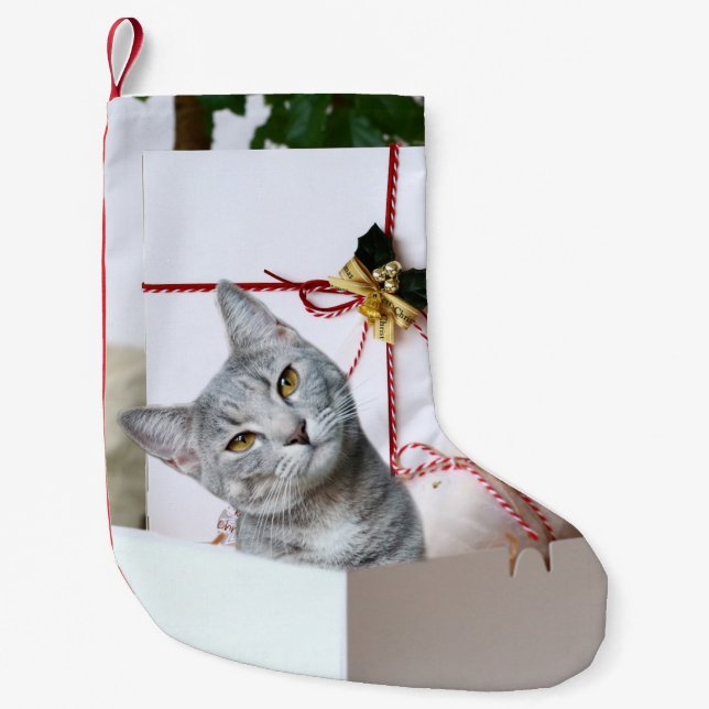 Meia De Natal Pequena Cinza Tabby Cat Christmas (Frente)
