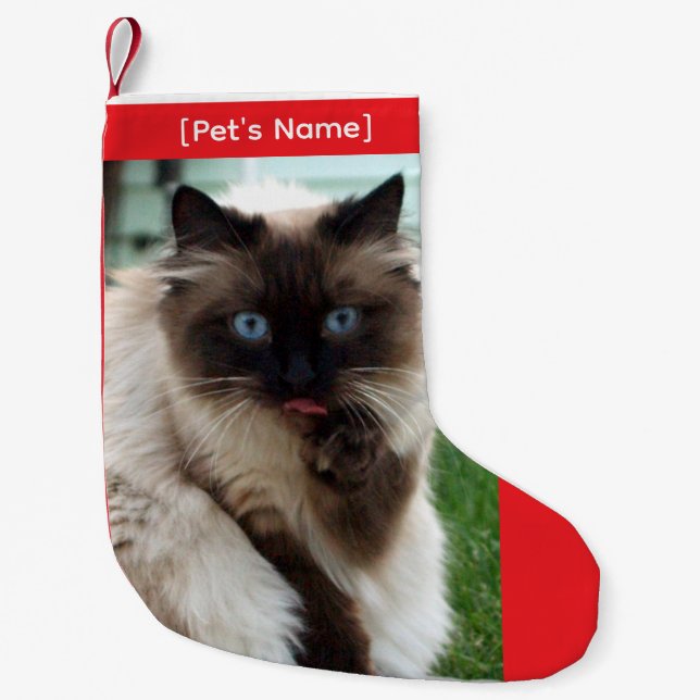 Meia De Natal Pequena Custom Pet Photo Christmas Stocking (Frente)