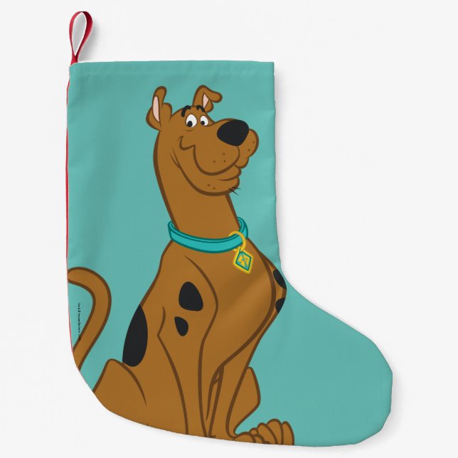 Meia De Natal Pequena Cutro De Scooby-Doo Que Bonito (Frente)