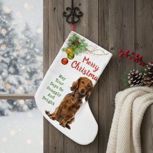 Meia De Natal Pequena Dachshund Felry Christmas Stocks
