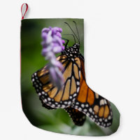 Danaus Plexippus do monarca