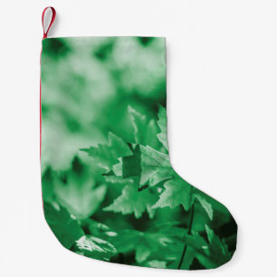 Meia De Natal Pequena Deixa a natureza verde do fundo