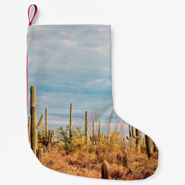 Meia De Natal Pequena Deserto com cactos de Saguaro (Frente)
