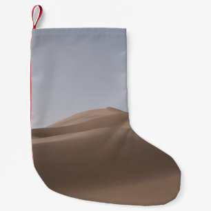 MEIA DE NATAL PEQUENA DESERTO MARAVILHOSO SOB CÉU BRANCO DURANTE O DIA