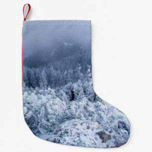Meia De Natal Pequena Dia de inverno nebuloso calmo no topo das montanha