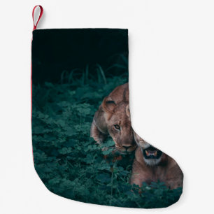 MEIA DE NATAL PEQUENA DUAS LONGAS EM PLANTAS VERDES