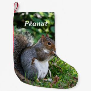 Meia De Natal Pequena Esquilo de Cinzas Personalizado