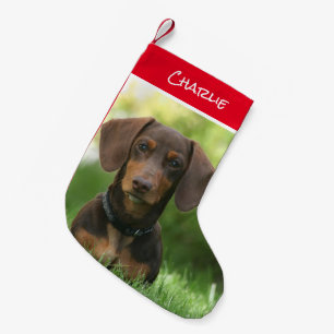 Meia De Natal Pequena Estoque de Natal Dachshund
