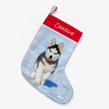 Estoque de Natal Siberian Husky
