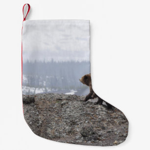 MEIA DE NATAL PEQUENA FAMÍLIA DE URSOS NO YELLOWSTONE