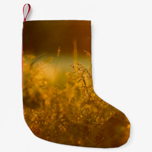 Meia De Natal Pequena Fechar a silhueta de um campo de grama por sunseta