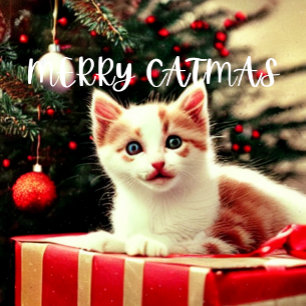 Meia De Natal Pequena Feliz Catmas Purrfect Christmas Stocks