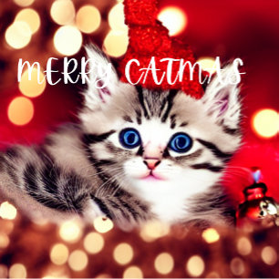 Meia De Natal Pequena Feliz Catmas Purrfect Christmas Stocks