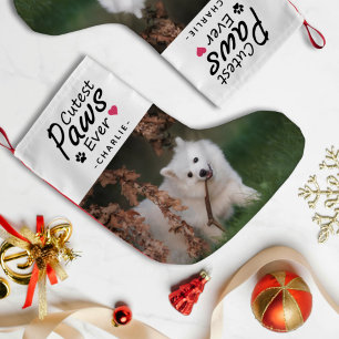 Meia De Natal Pequena Feriado em Pé de Cachorro e Nome