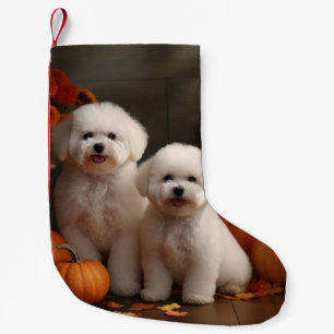 Meia De Natal Pequena Filhote de Bichon Frise Delícia de Outono Abóbora