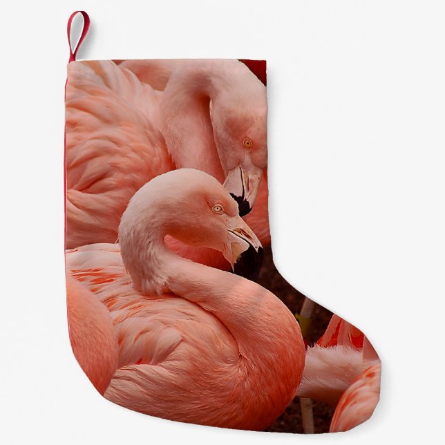 Meia De Natal Pequena Flamingo cor-de-rosa (Frente)