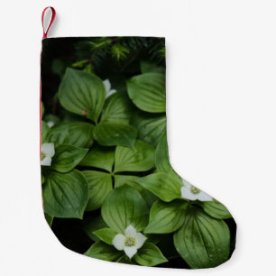 MEIA DE NATAL PEQUENA FLOR BRANCO COM FOLHAS VERDES